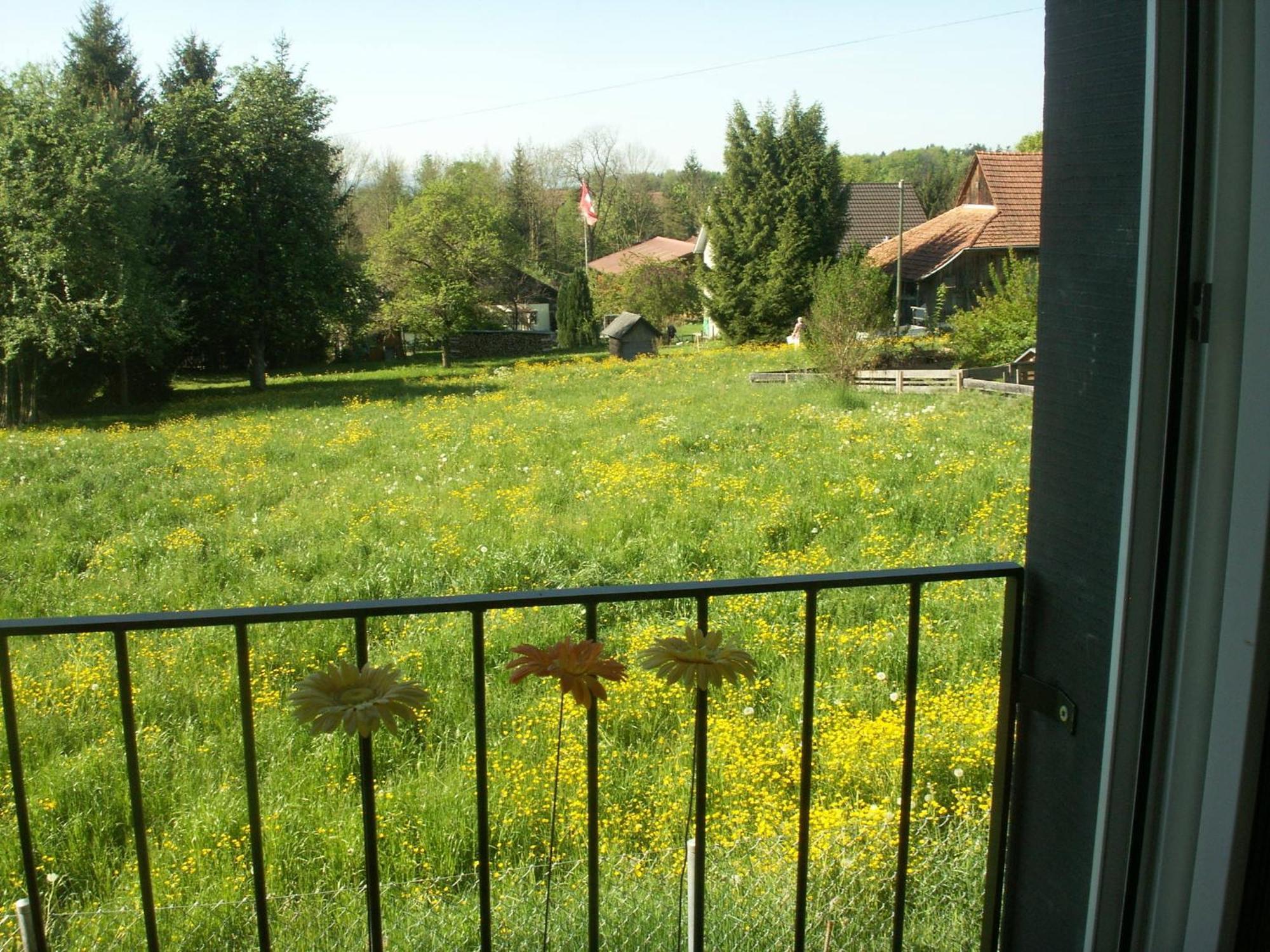 Don Camillo Gaestehaus Hörhausen Exterior foto